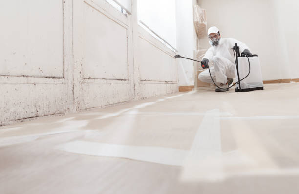 24/7 Emergency Mold Remediation experts in Demarest, NJ